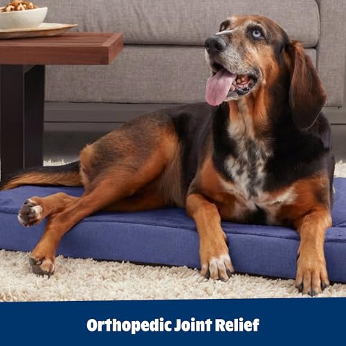 Orthopedic Dog Bed (Navy / Medium)