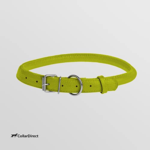 Tangle Free Rolled Leather Dog Collar (Lime Green / XL)