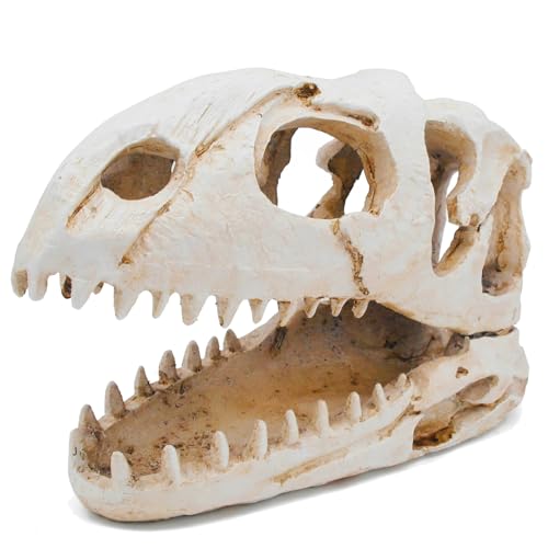 Dinosaur Animal Skull Aquarium Large Décor Cave Decorations Fish Hideout Tank Betta Tarantula Reptile Snake for Terrarium Decor Ornament Bones Halloween (Velociraptor)