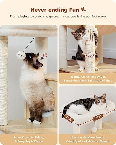 Cat Tree for Kittens