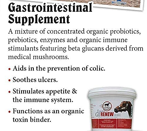 GI Renew Digestive Horse Supplement Powder (2 LBS)