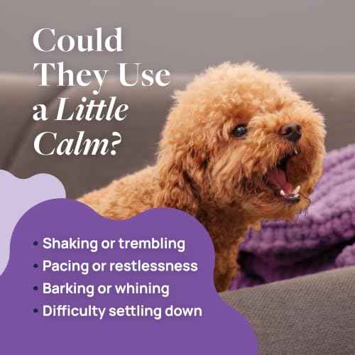 Smart Vitality Pet Calm Soft Chews for Dogs (120 Count / Pet Calm)