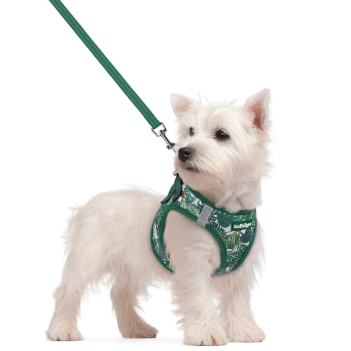 Dog Harness Small Sized and Leash Set (Rainforest Green / S (chest: 15.1 - 16.5"))