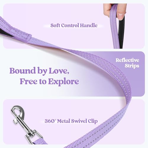 Dog Harness Medium Sized and Leash Set (Light Purple / M (chest: 16 - 18.5"))