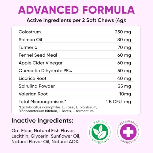 Dog Allergy Relief Chews for Itchy Skin (Purple)