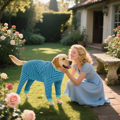 Dog Onesie Surgery Recovery Suit for Large Medium Bodysuit Dogs Pajamas PJS Full Body for Shedding (X-Large / Blue Green)