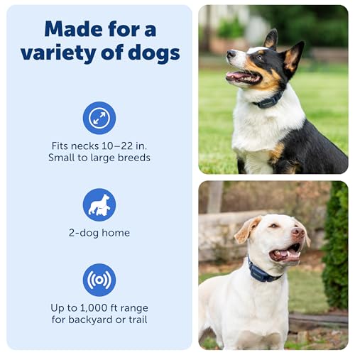 Pro Dog Trainer (2-Dog Trainer)