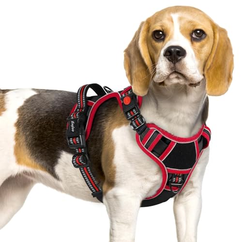 Dog Harness No Pull for Small Dogs (Small / Black & Red)