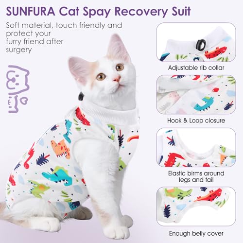 Cat Recovery Suit (Colorful Dino / Medium)