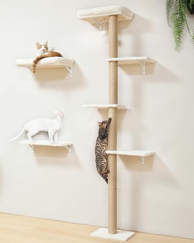 Cat Wall Shelves Set (Beige)