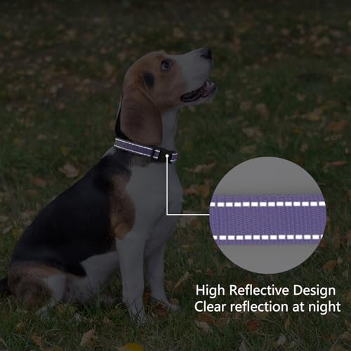 Reflective Dog Collar (Purple / M:width 3/4"neck 14-20.5")