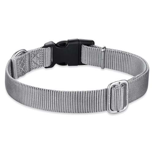 Gray Dog Collar for Medium Dogs (Medium / Sleet Gray)