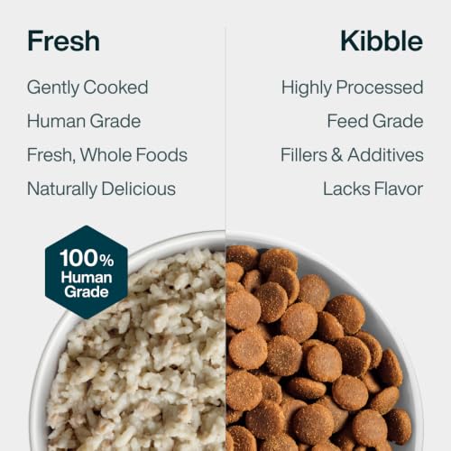 Pantry Fresh Wet Dog Food (12.5 Ounce (Pack of 12))