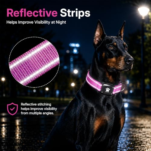 GPS Dog Collar with Tracker (Hot Pink / XS(10.5''-13.5''))