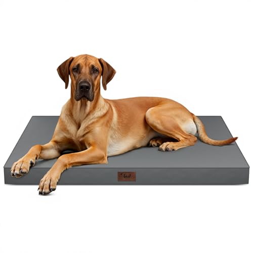 Jumbo Waterproof Orthopedic Dog Bed for Extra Large Dogs (Grey / 53.0"L x 36.0"W x 4.0"Th)