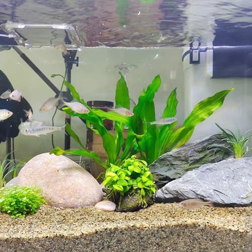 5 lbs Aquarium Sand (Mixed / 5 LB)