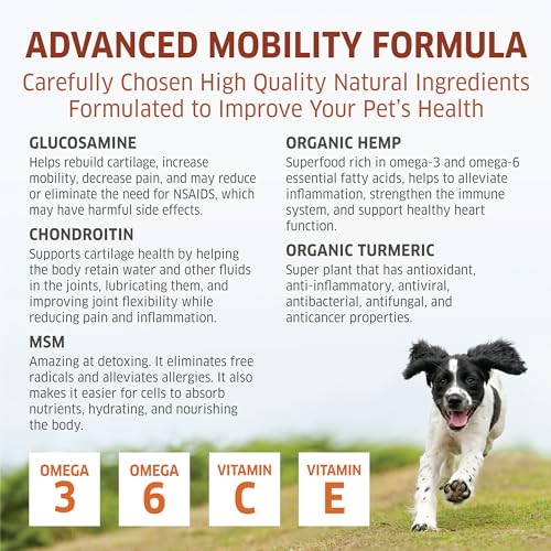 Hemp Hip and Joint Supplement for Dogs