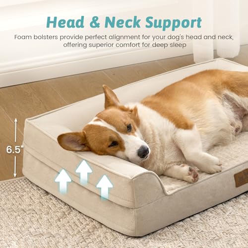 Orthopedic Dog Bed for Medium Small Size Dogs (Beige / M:30x20x6.5 inch)