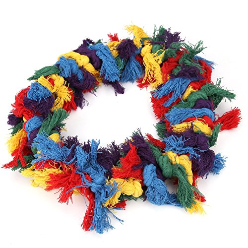 Bird Parakeet Colorful Swing Toys (Large)
