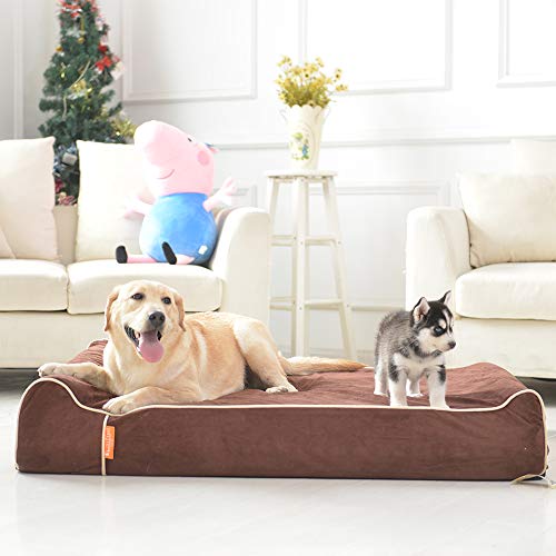 Orthopedic Dog Bed (50.0"L x 36.0"W x 10.0"Th / Chocolate)