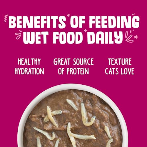 Classic Cat Food (3 Ounce (Pack of 24))