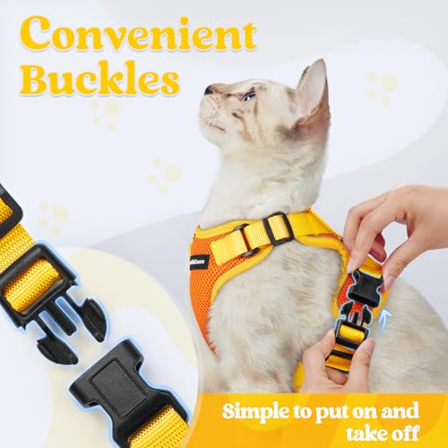 Cat Harness and Leash Set (Orange & Yellow / S)