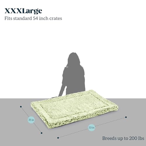 Stoutwool Indestructible Dog Bed (53.0"L x 35.0"W x 2"Th / Gleam)