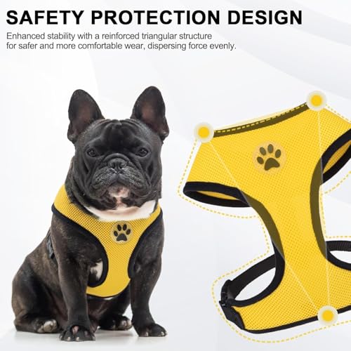 Small Dog Harness (XL (NECK: 20.5", CHEST: 20.5"-27") / Yellow)