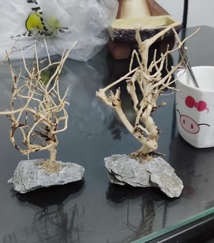 2pcs Small Bonsai Aquarium Tree