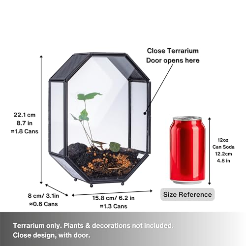 Glass Enclosure Terrarium with Mesh and Door for Spiders (6.2 x 3.1 x 8.7 inches)