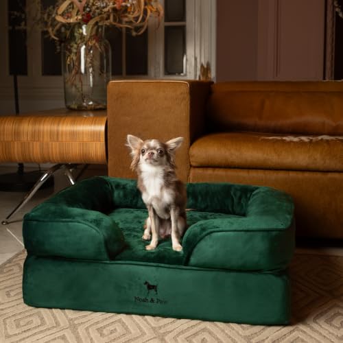 Dog Bed Orthopedic Memory Cooling Foam (Dark Green - VE / Medium)