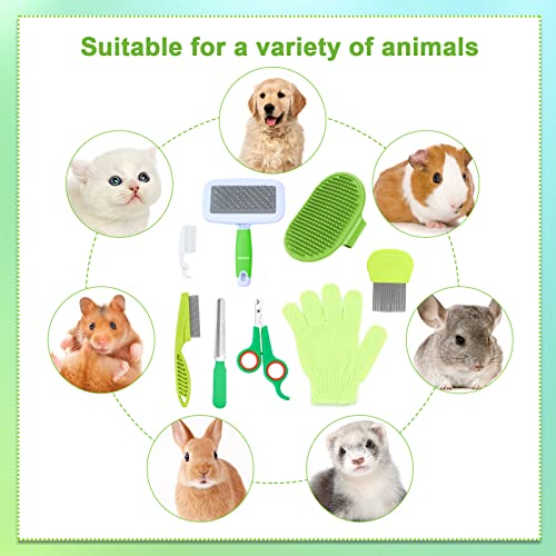 8 Pcs Small Animal Grooming Kit (Green)