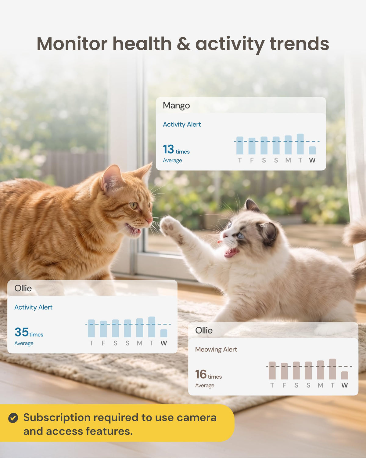 360° Cat Camera [Paid Plan Required to Activate] (360° Cat Camera / Subscription Required to Activate)