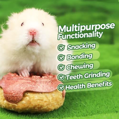 Donut Guinea Pig Toys (2PCS-Donut)