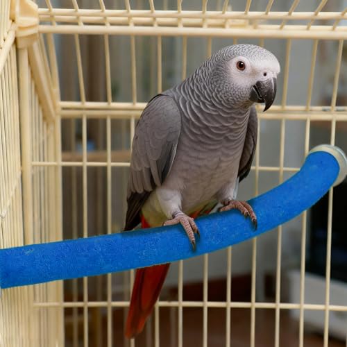 90 Degree Parrot Perch for Cage Corner (X-Large / Blue-corner-90)