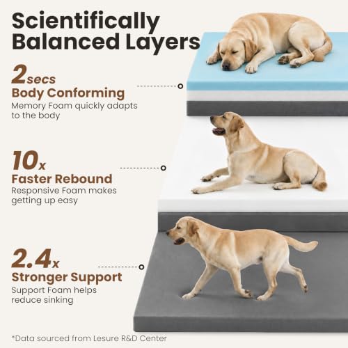 RealOrtho™ 3 Layer Orthopedic Dog Beds Large Sized Dog (Ash Grey / 35"L x 25"W x 7"Th)