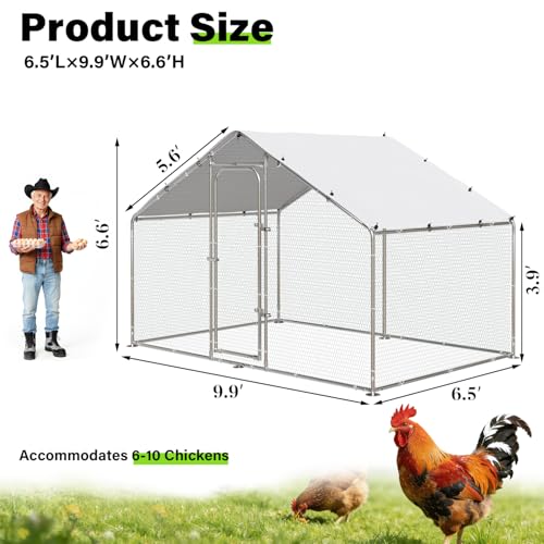Metal Chicken Coop Spire Roof Walk in Chicken Run Pen for 6 Chickens (78.0"L x 118.1"W x 76.8"H)