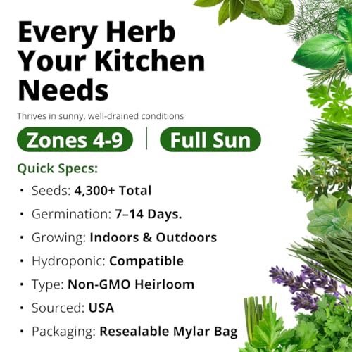 15 Culinary Herb Seeds