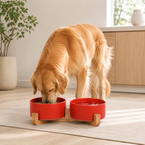 Ceramic Cat Dog Bowl Set with Stand (Rust Red / 850ML*2)