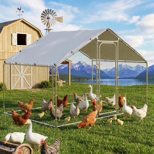 Metal Chicken Coop Spire Roof Walk in Chicken Run Pen for 6 Chickens (78.0"L x 118.1"W x 76.8"H)
