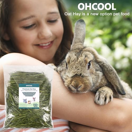 Premium Dust Free Oat Hay 2.2lbs (1.1 Pound (Pack of 2))