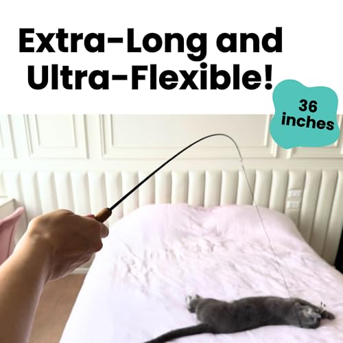 Forever Stick 2 Pack Unbreakable Cat Wand Toys (Forever Stick 2-Pack)