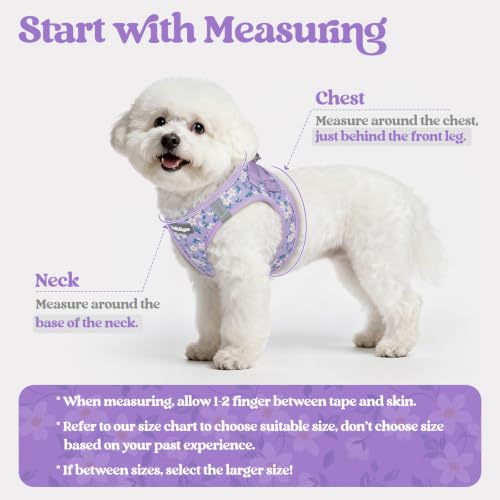 Dog Harness Small Sized and Leash Set (Lavender Floral / S (chest: 15.1 - 16.5"))