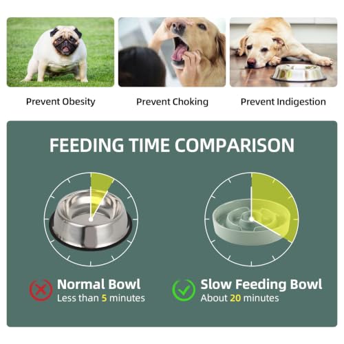 Elevated Slow Feeder Dog Bowls (Light Green)