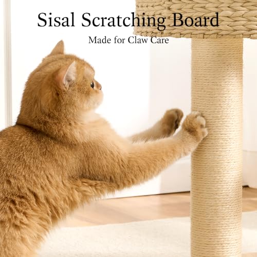 Wood Modern Cat Tree for Large Cat (47 Inch-Turntable Toy)
