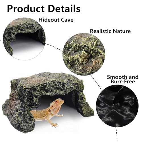 Reptile Hideout Rock