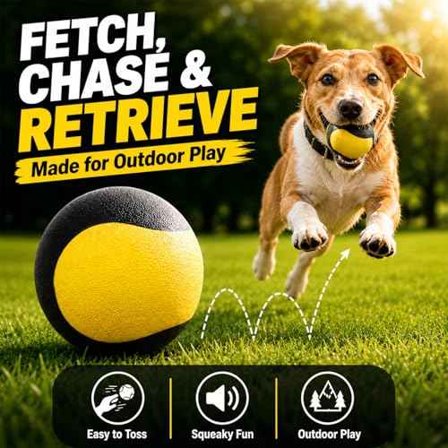 Squeaky Balls for Dogs (YellowBlack)