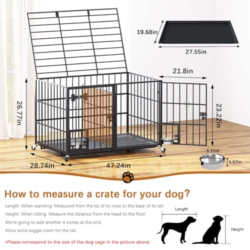 48"Metal Dog Crate for 2 Medium (48"inch for 2 Dogs / Black)