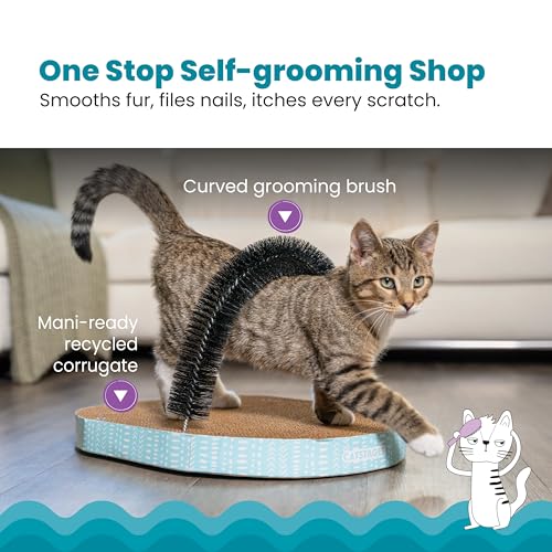 Scratch & Groom 3