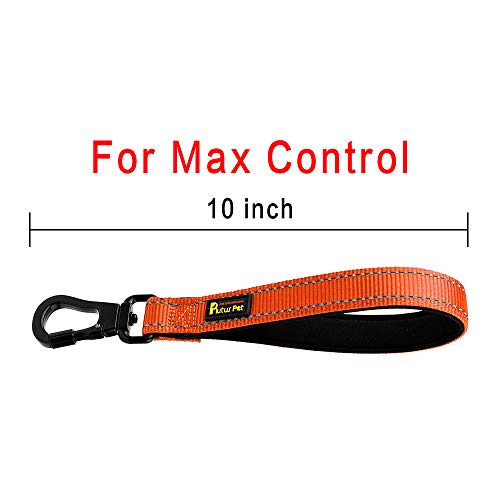 10” Short Dog Leash (Orange / 10 Inch (Pack of 1))